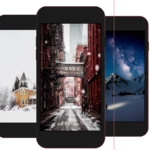 winter wallpaper android application logo